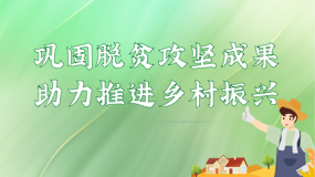 鞏固脫貧攻堅成果 助力推進鄉(xiāng)村振興